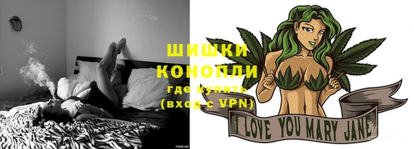 мдпв Пересвет